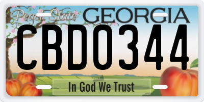 GA license plate CBD0344