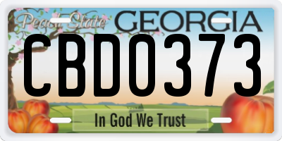 GA license plate CBD0373