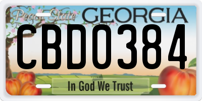 GA license plate CBD0384