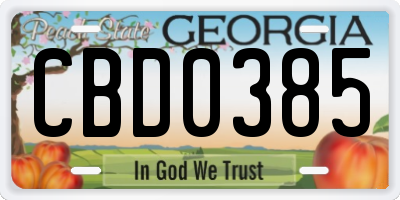 GA license plate CBD0385
