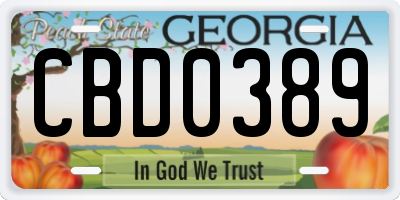 GA license plate CBD0389