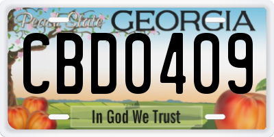 GA license plate CBD0409