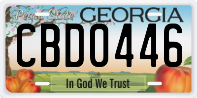 GA license plate CBD0446