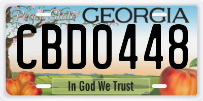 GA license plate CBD0448