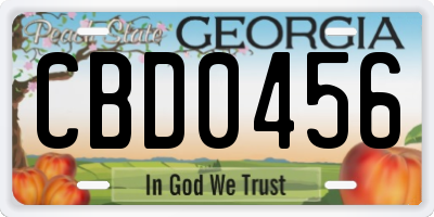 GA license plate CBD0456