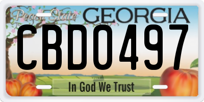 GA license plate CBD0497