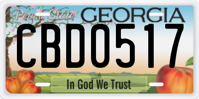 GA license plate CBD0517