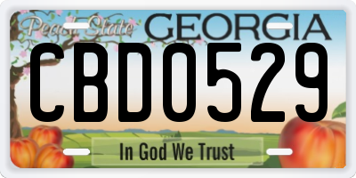 GA license plate CBD0529