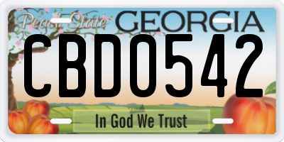 GA license plate CBD0542
