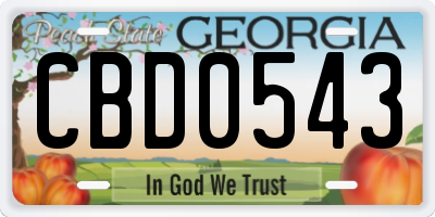 GA license plate CBD0543
