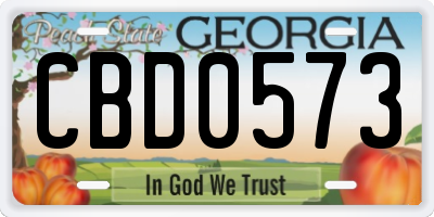 GA license plate CBD0573