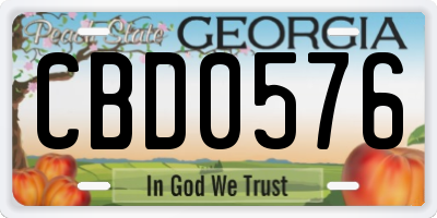GA license plate CBD0576