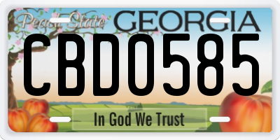 GA license plate CBD0585