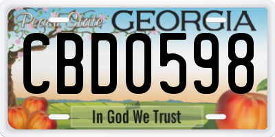 GA license plate CBD0598