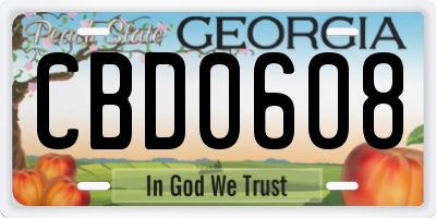 GA license plate CBD0608