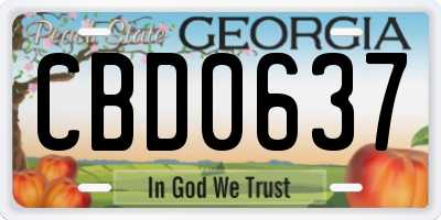 GA license plate CBD0637