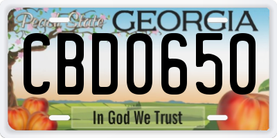 GA license plate CBD0650
