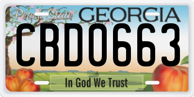 GA license plate CBD0663