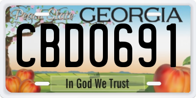 GA license plate CBD0691
