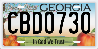 GA license plate CBD0730