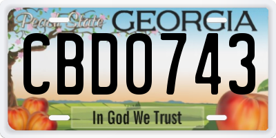 GA license plate CBD0743