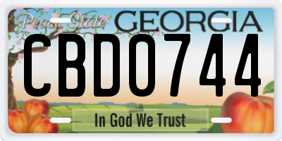GA license plate CBD0744