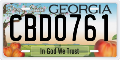 GA license plate CBD0761