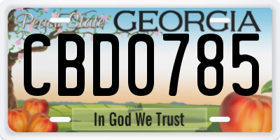 GA license plate CBD0785
