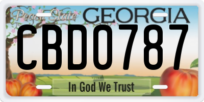 GA license plate CBD0787
