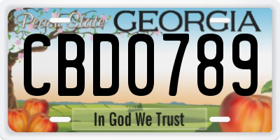 GA license plate CBD0789