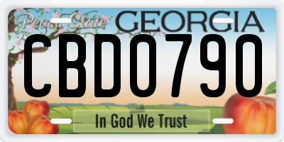 GA license plate CBD0790