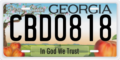 GA license plate CBD0818