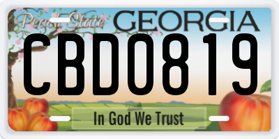 GA license plate CBD0819