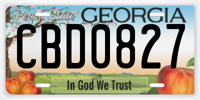 GA license plate CBD0827