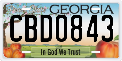 GA license plate CBD0843
