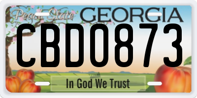 GA license plate CBD0873