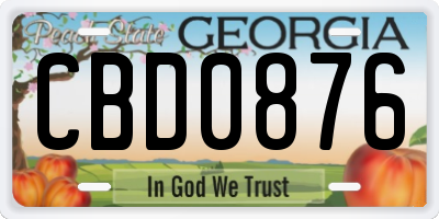 GA license plate CBD0876