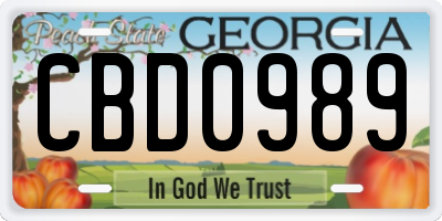 GA license plate CBD0989