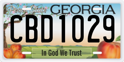 GA license plate CBD1029