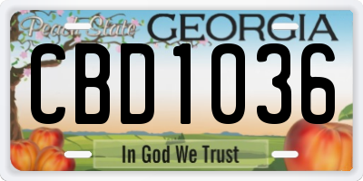 GA license plate CBD1036