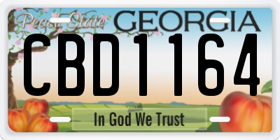 GA license plate CBD1164