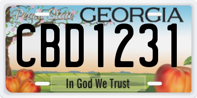 GA license plate CBD1231