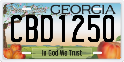 GA license plate CBD1250