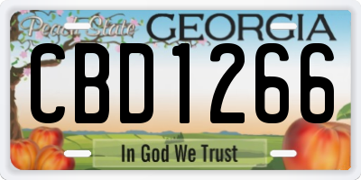 GA license plate CBD1266