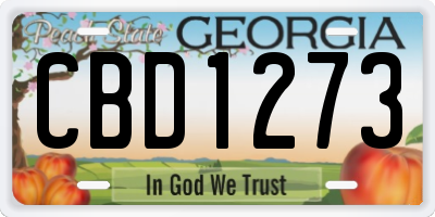 GA license plate CBD1273