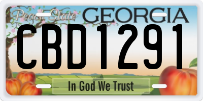 GA license plate CBD1291