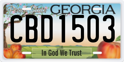 GA license plate CBD1503