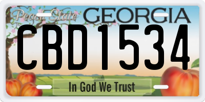 GA license plate CBD1534