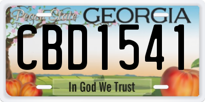 GA license plate CBD1541