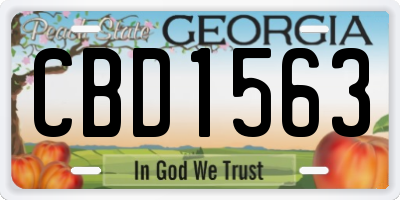 GA license plate CBD1563